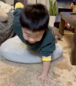 あおぽんの片手腕立て